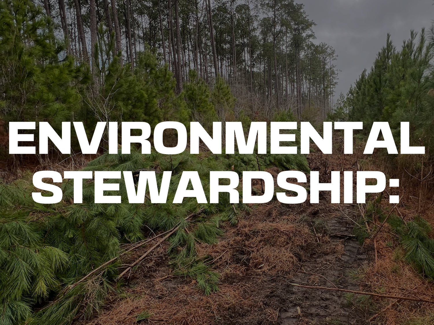 Carolina earthwerx are stewards of the environment and take extreme care while conducting our services. 